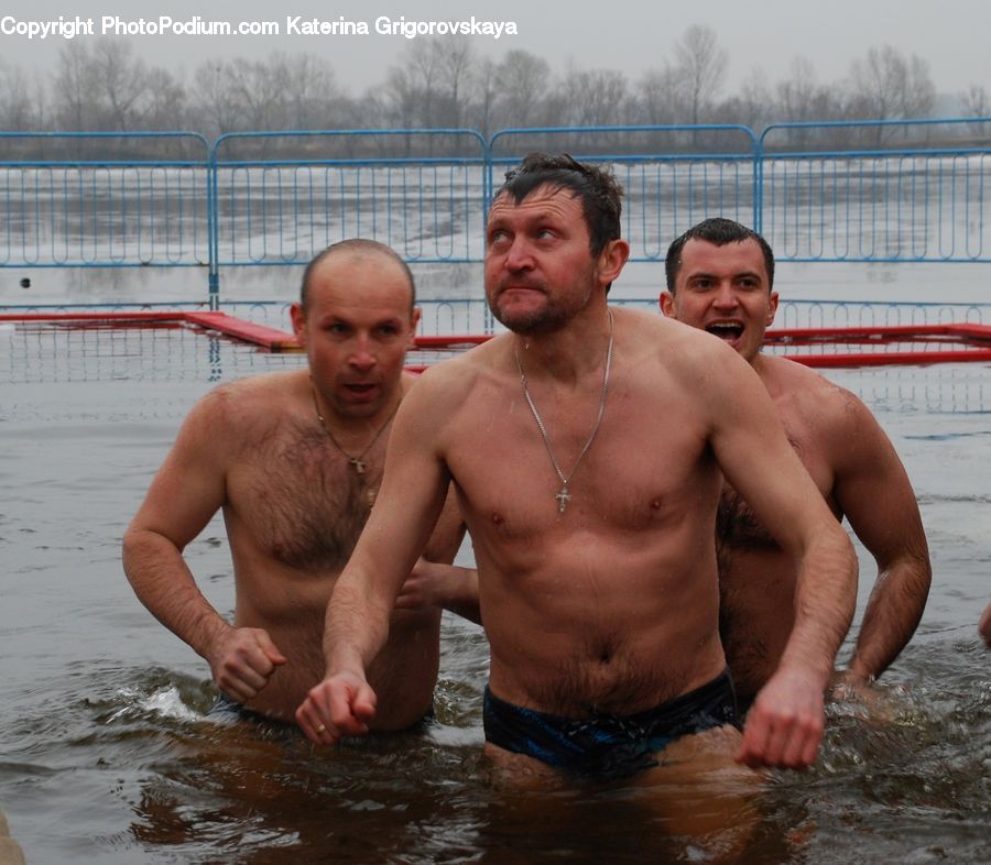 Human, People, Person, Pool, Water, Sport, Swimming