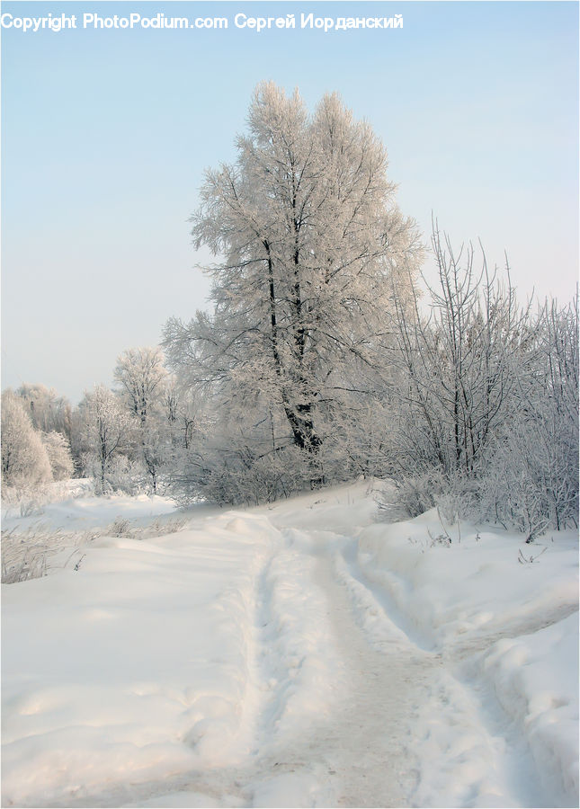 Blizzard, Outdoors, Snow, Weather, Winter, Landscape, Nature