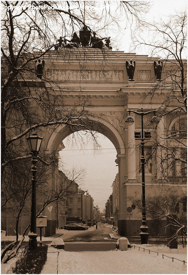 Arch, Architecture, Downtown, Plaza, Town Square, Plant, Potted Plant