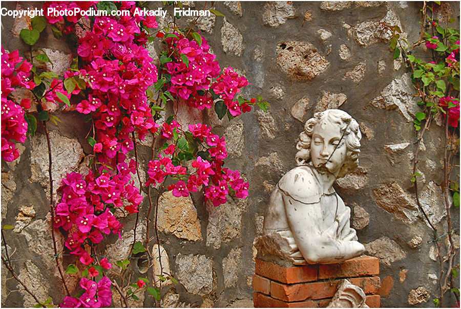 Ivy, Plant, Vine, Buddha, Person, Shrine, Temple