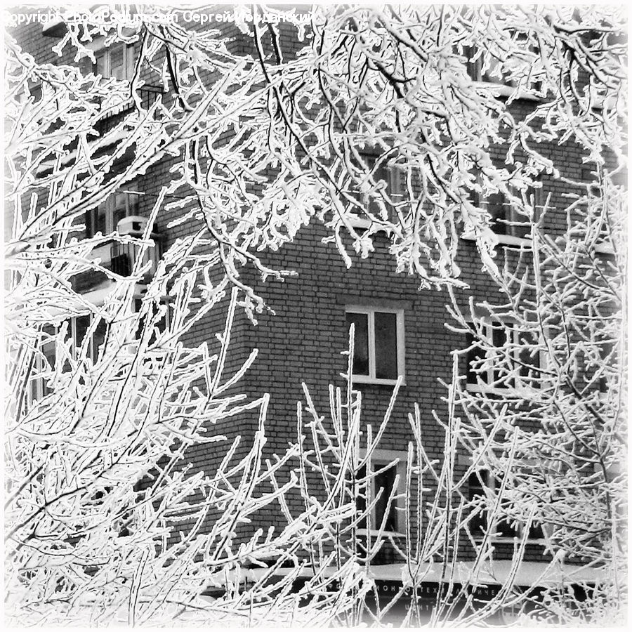 Frost, Ice, Outdoors, Snow, Doodle, Drawing, Lace
