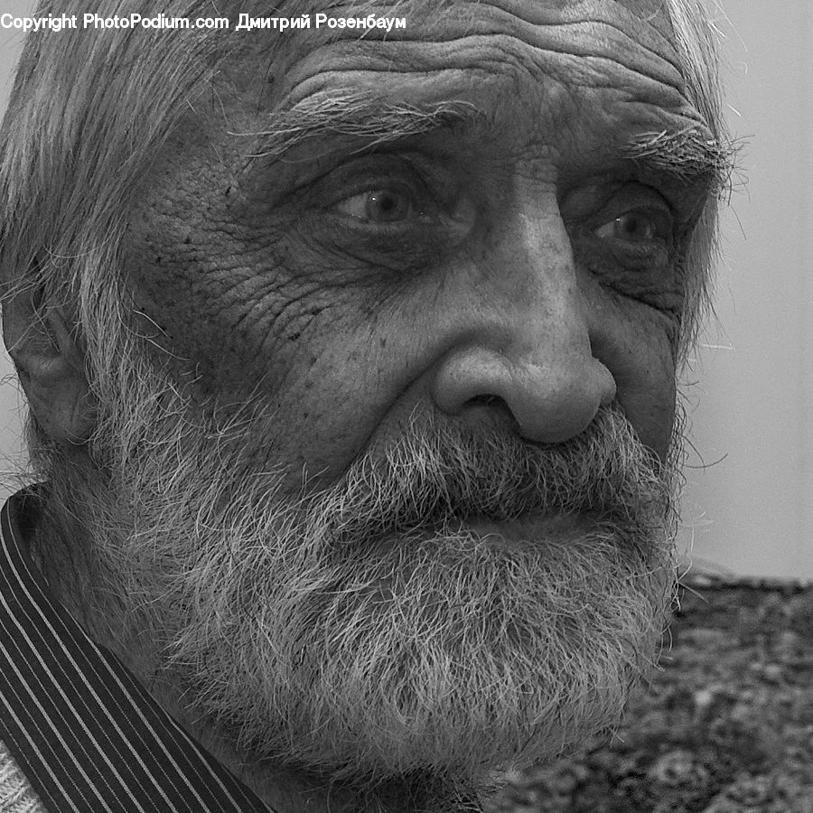 Beard, Hair, Person, Portrait, Selfie