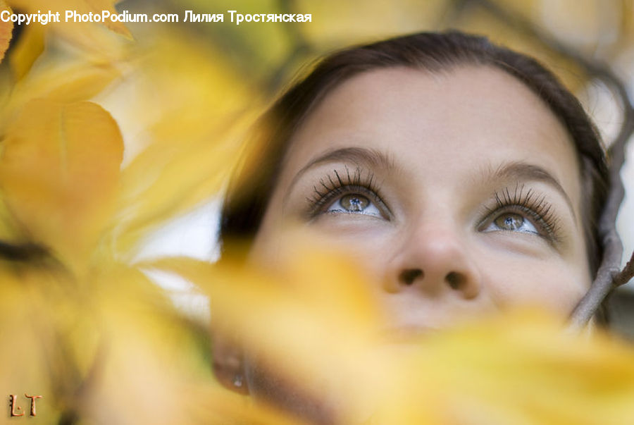 People, Person, Human, Flora, Flower, Gladiolus, Plant