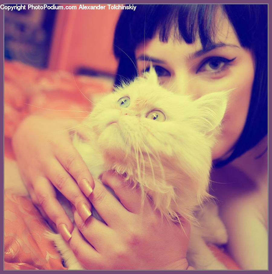 People, Person, Human, Adorable, Face, Selfie