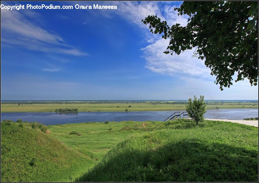 Field, Grass, Grassland, Land, Outdoors, Landscape, Nature