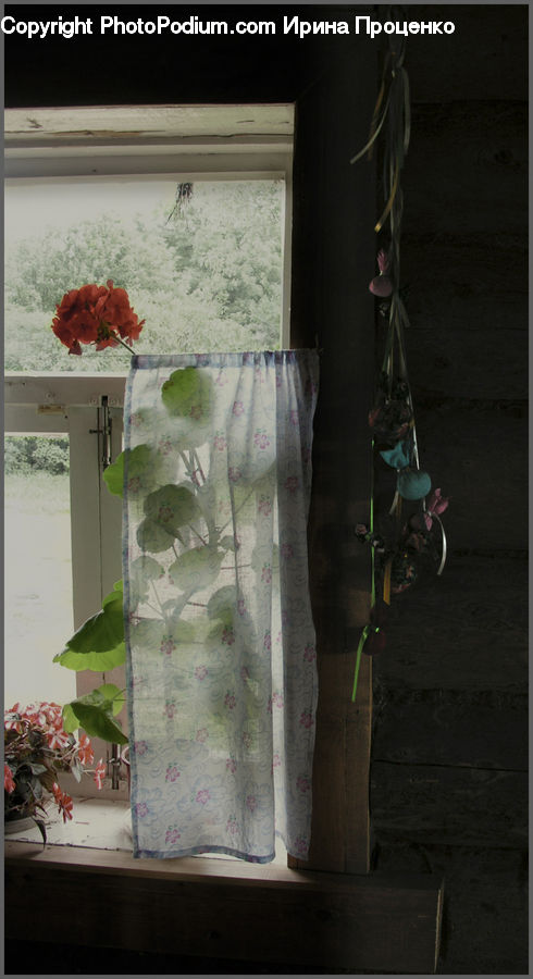 Bicycle, Bike, Vehicle, Plant, Potted Plant, Curtain, Home Decor
