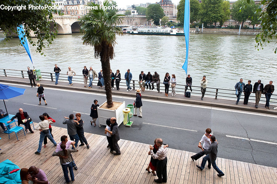 Boardwalk, Deck, Path, Sidewalk, Walkway, Exercise, Fitness