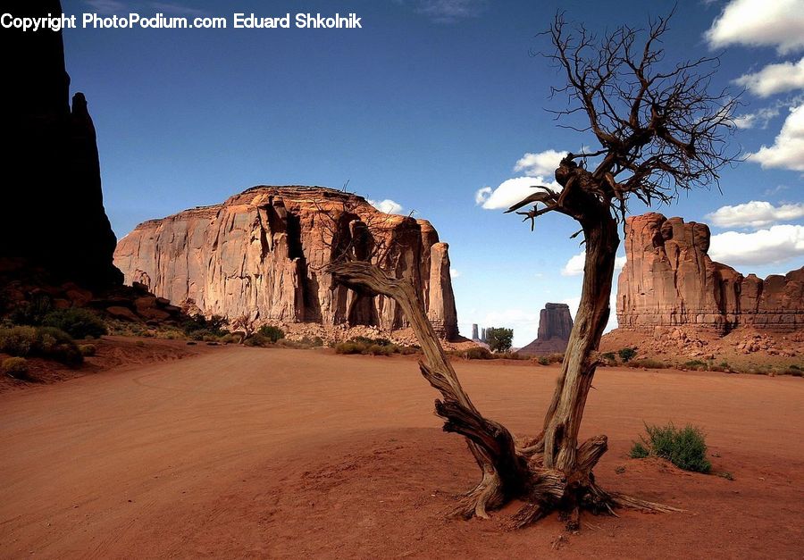 Desert, Outdoors, Soil, Sand, Plateau, Plant, Tree