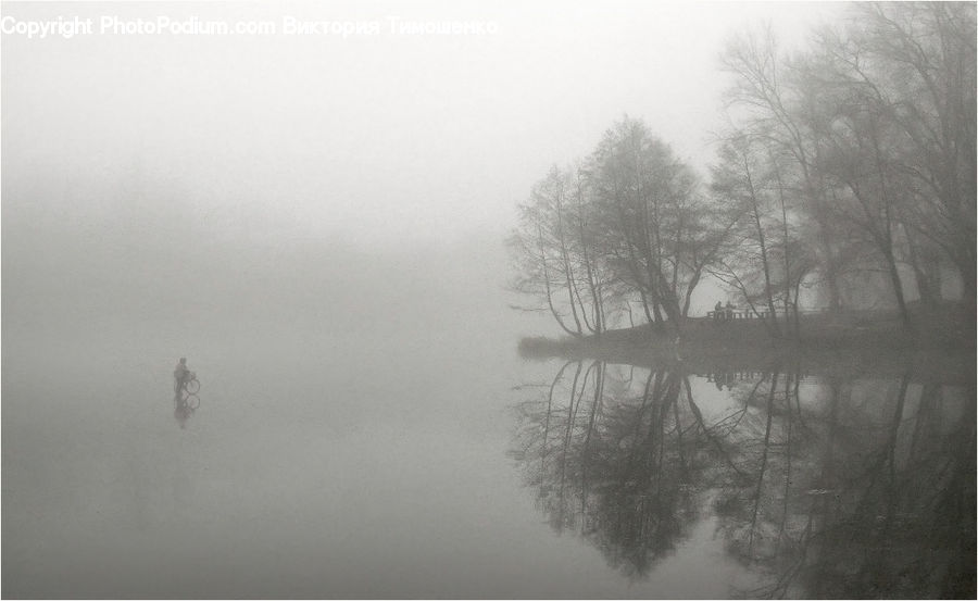Fog