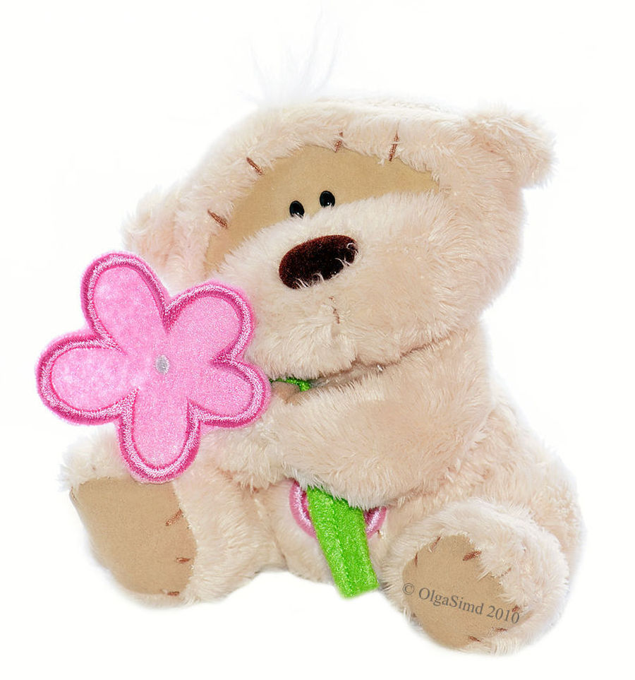 Toy