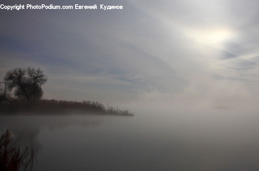 Fog, Plant, Tree, Mist, Outdoors, Dawn, Dusk