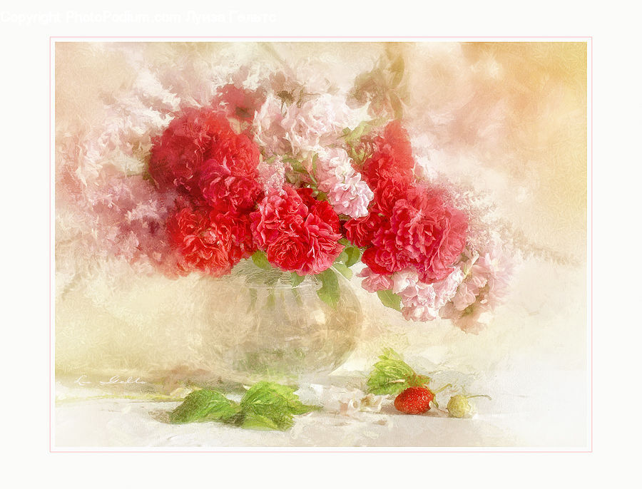 Collage, Poster, Greeting Card, Mail, Blossom, Carnation, Flower