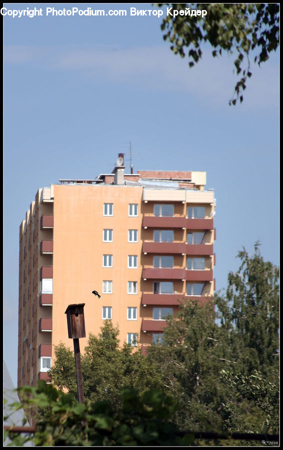 Apartment Building, Building, High Rise, Plant, Potted Plant, Housing, Villa
