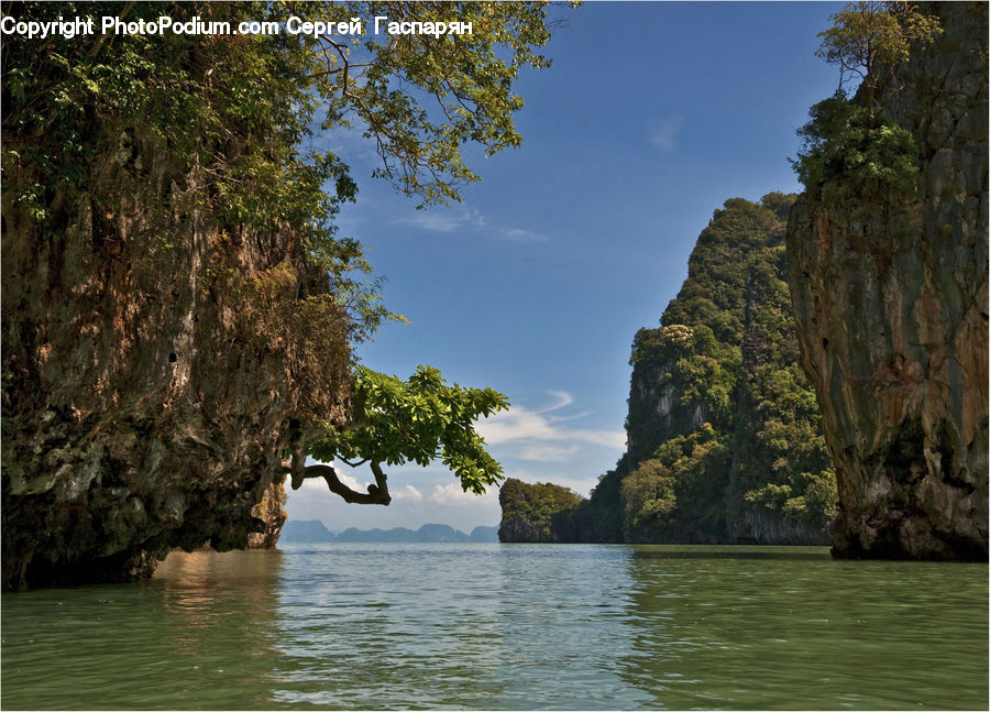 Plant, Tree, Cliff, Outdoors, Oak, Wood, Lake