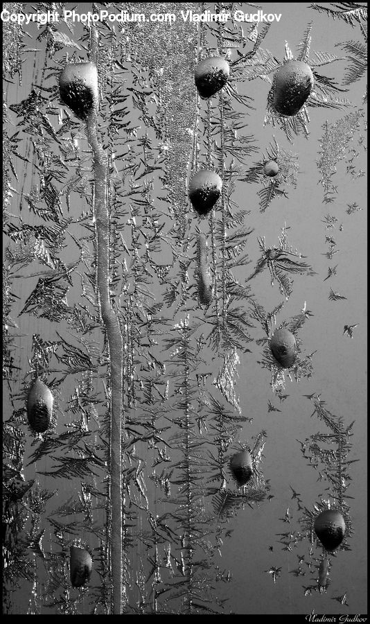 Water, Outdoors, Ripple, Land, Marsh, Pond, Swamp
