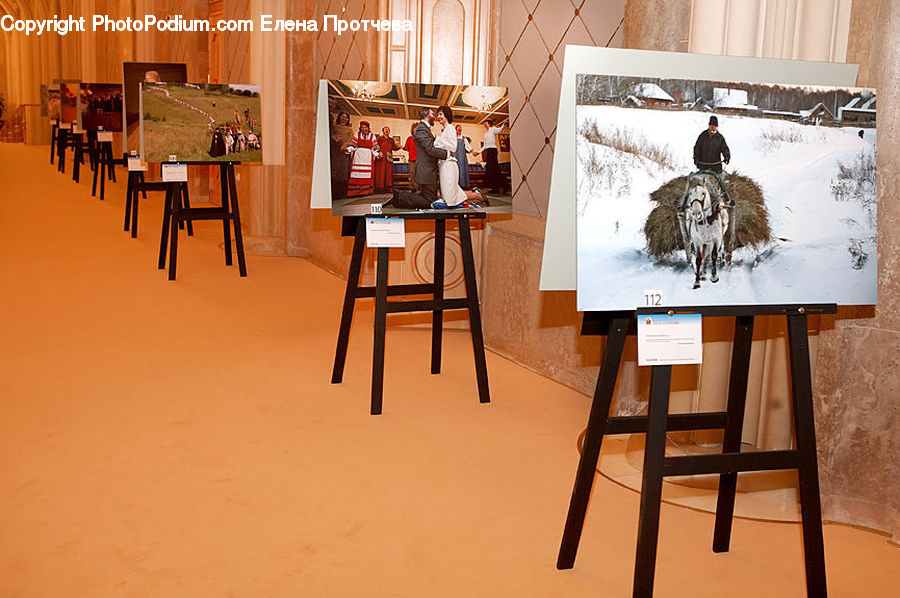 Dining Table, Furniture, Table, Tabletop, Bench, Chair, Animal
