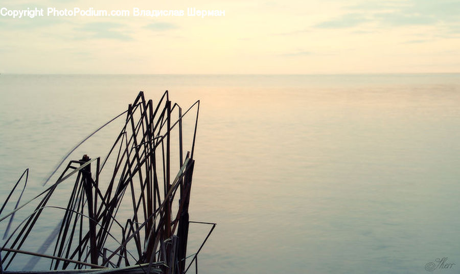Grass, Plant, Reed, Coast, Outdoors, Sea, Water