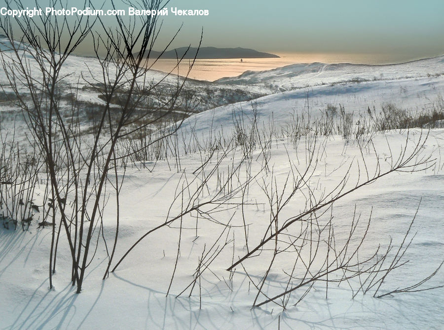 Arctic, Snow, Winter, Ice, Outdoors, Field, Grass