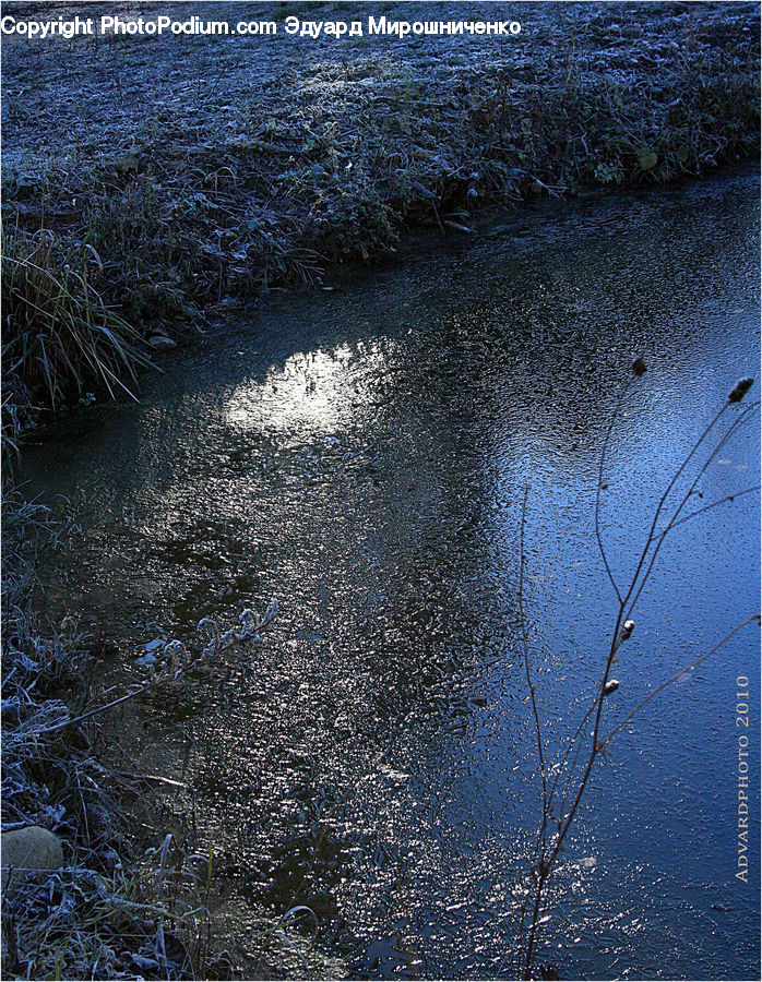 Land, Marsh, Pond, Swamp, Water, Field, Grass