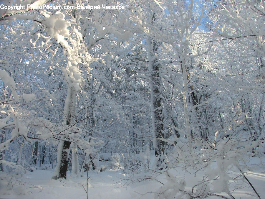 Ice, Outdoors, Snow, Landscape, Nature, Scenery, Rubble