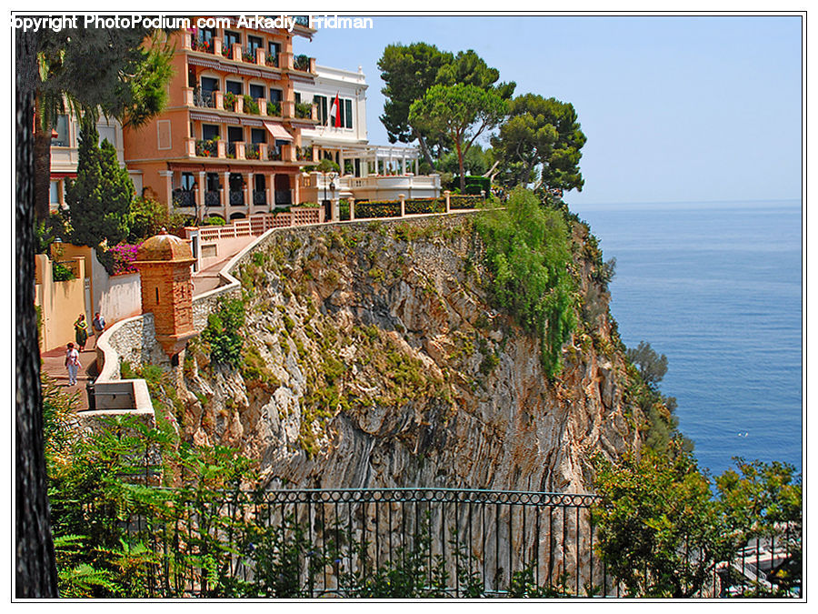 Ivy, Plant, Vine, Building, Housing, Patio, Apartment Building