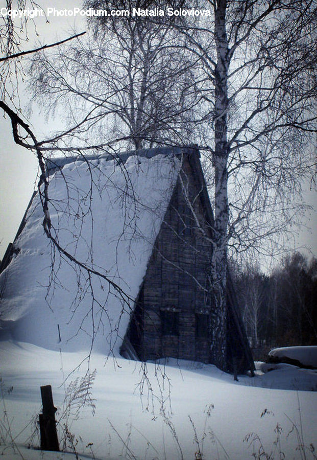 Building, Cottage, Housing, Cabin, Hut, Rural, Shack