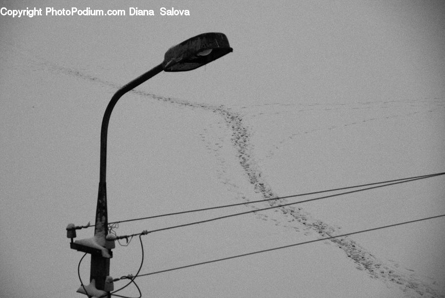 Bird, Blackbird, Wire, Outdoors, Sand, Soil, Architecture