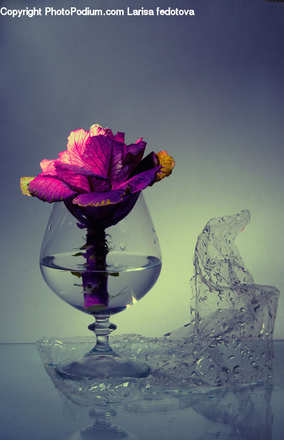 People, Person, Human, Glass, Goblet, Floral Design, Flower Arrangement