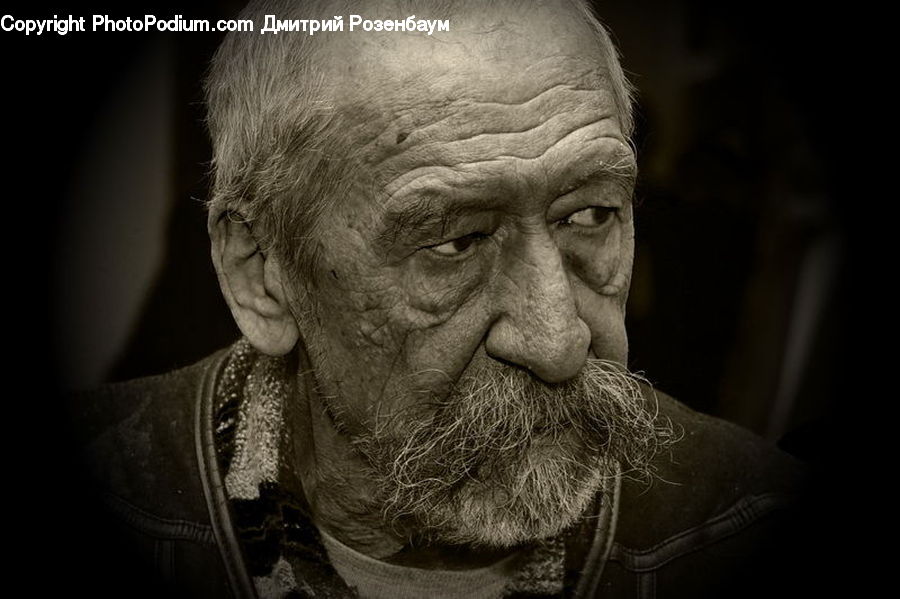 Beard, Hair, Face, Selfie, Person, Portrait, People
