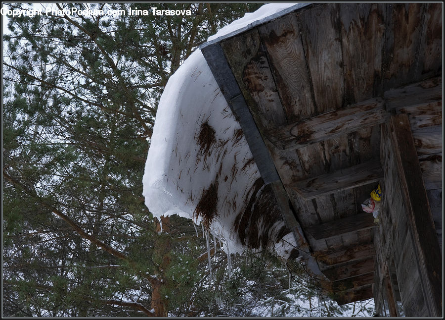 Boat, Dinghy, Rubble, Outdoors, Building, Shack, Shelter