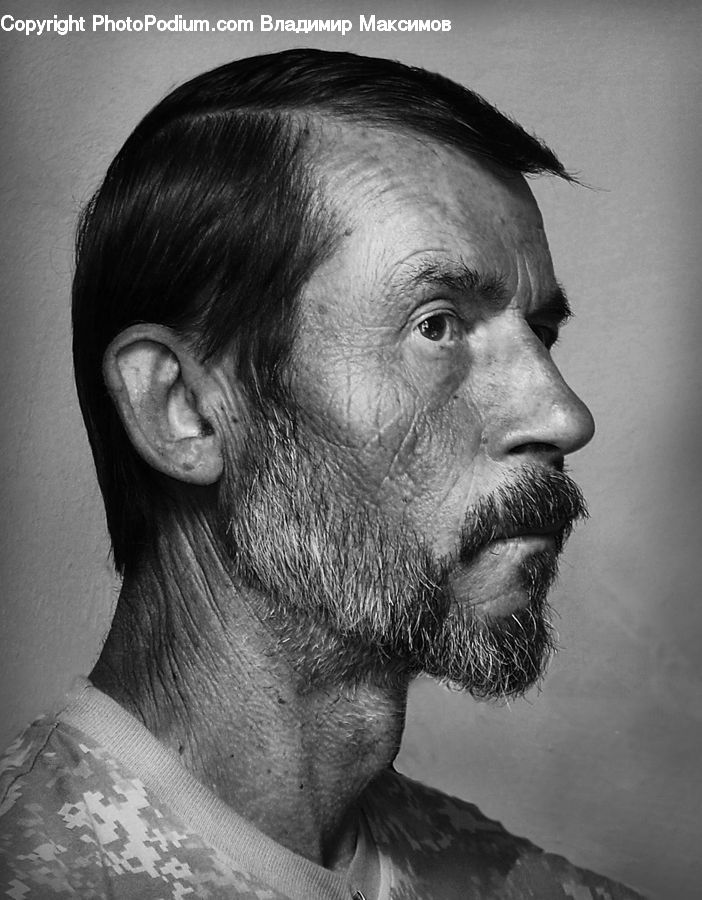Beard, Hair, Person, Portrait, Selfie