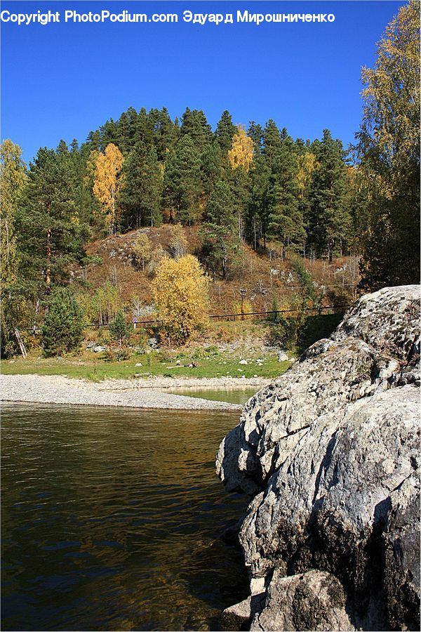 Creek, Outdoors, River, Water, Rock, Countryside, Landscape