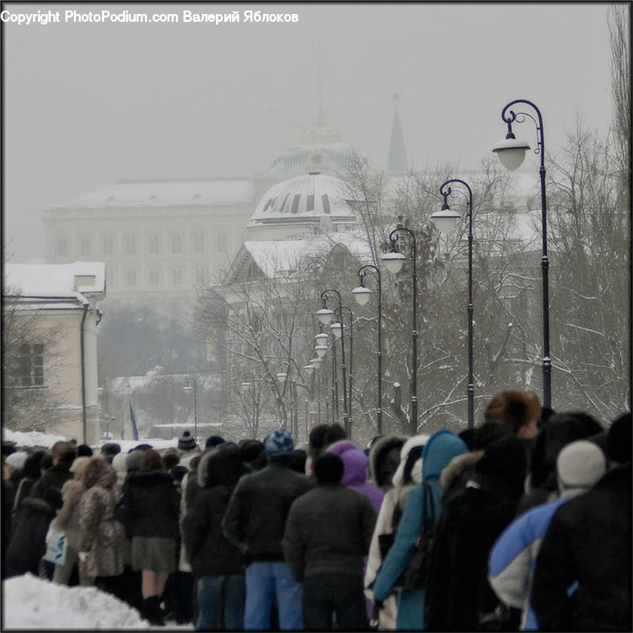 People, Person, Human, Crowd, Back, Lamp Post, Pole