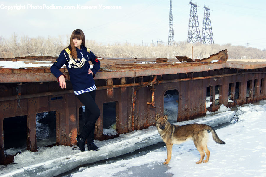 Human, People, Person, Fireplace, Hearth, Animal, Canine