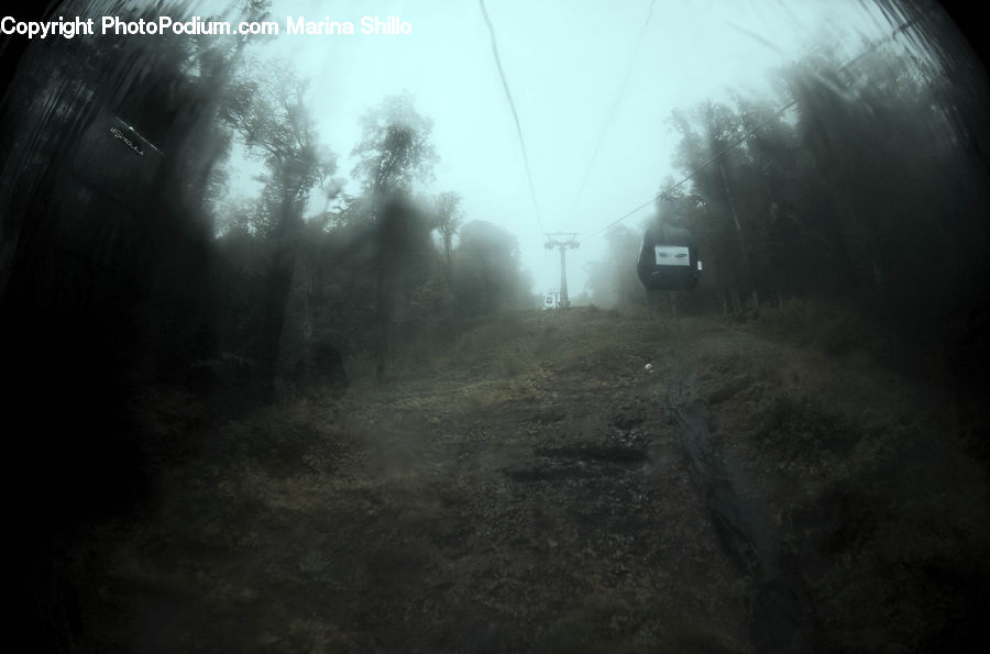 Fog, Dirt Road, Gravel, Road, Mist, Outdoors, Forest
