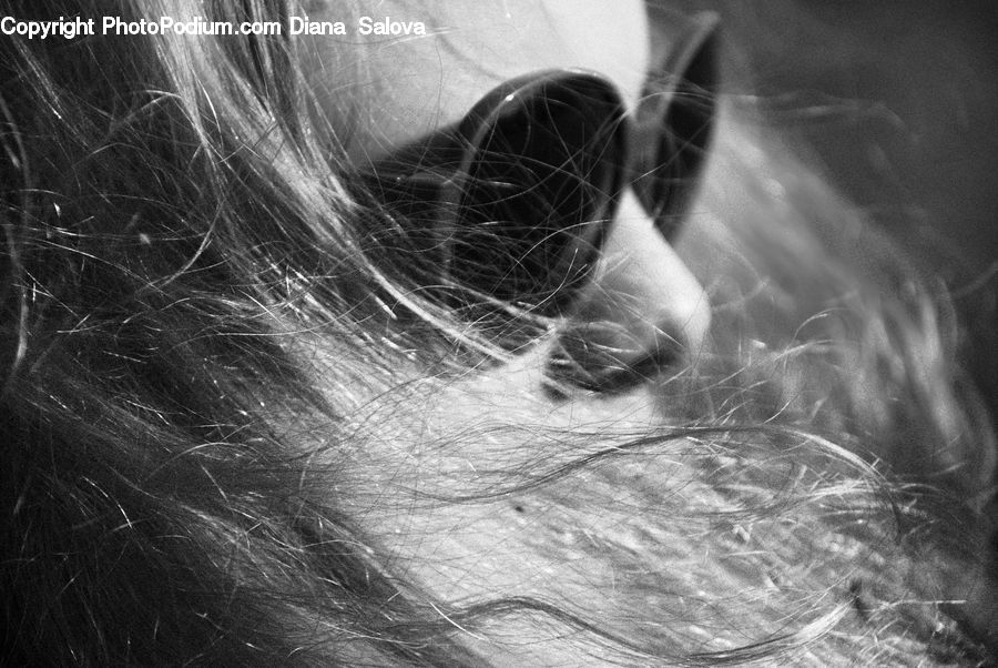 Person, Portrait, Selfie