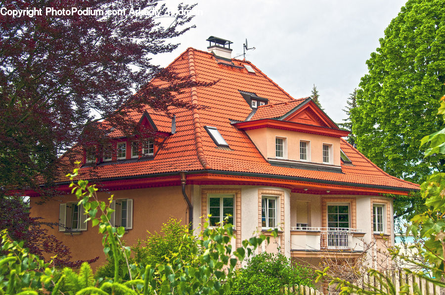 Building, Cottage, Housing, Ivy, Plant, Vine, Villa