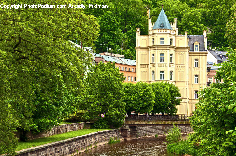 Architecture, Castle, Fort, Building, Housing, Villa, Ivy