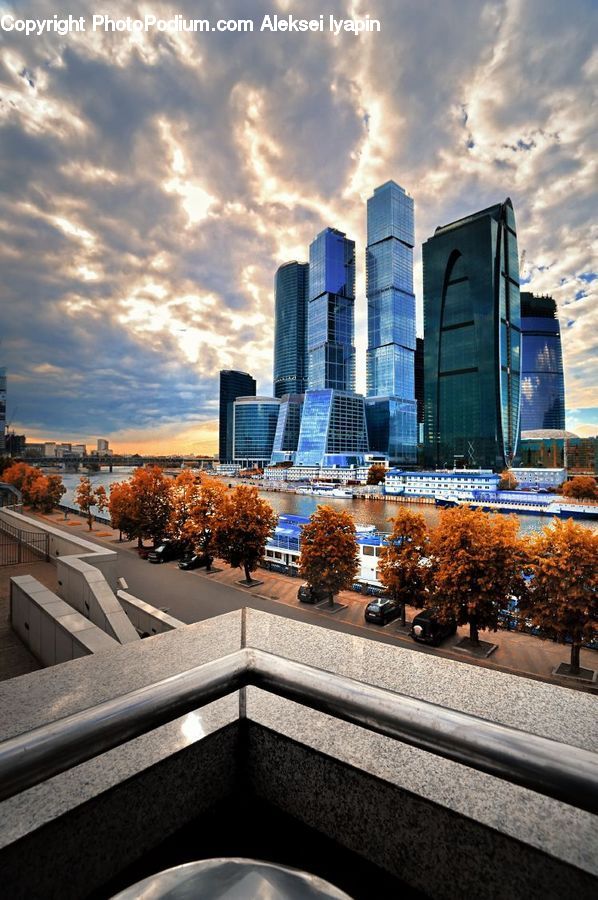 Plant, Potted Plant, City, Downtown, Metropolis, Urban, Architecture