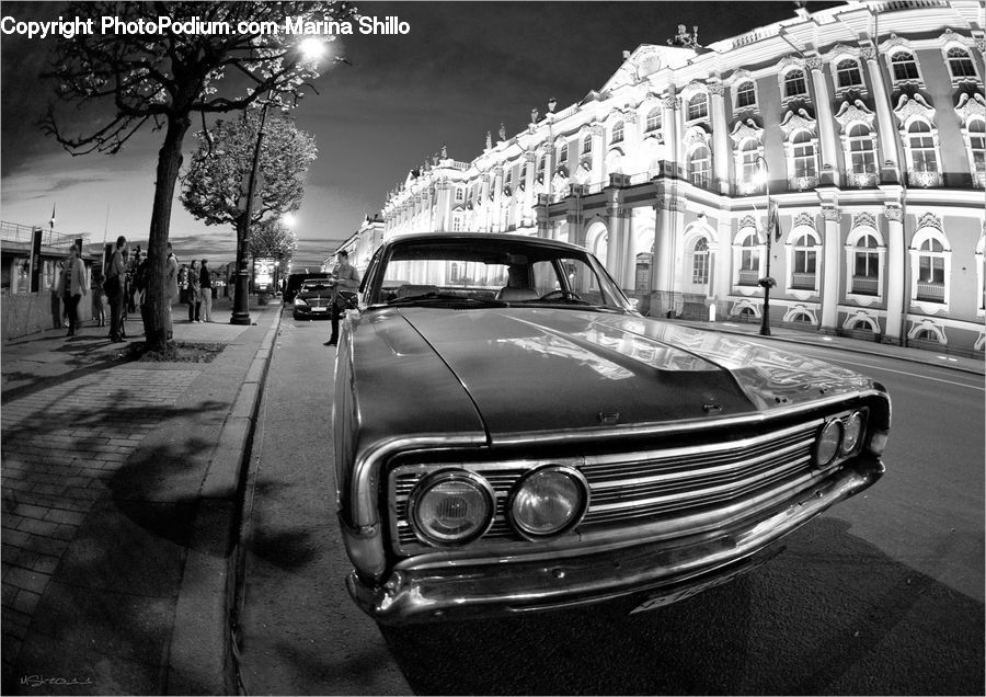 Plant, Tree, Cab, Car, Taxi, Vehicle, Automobile