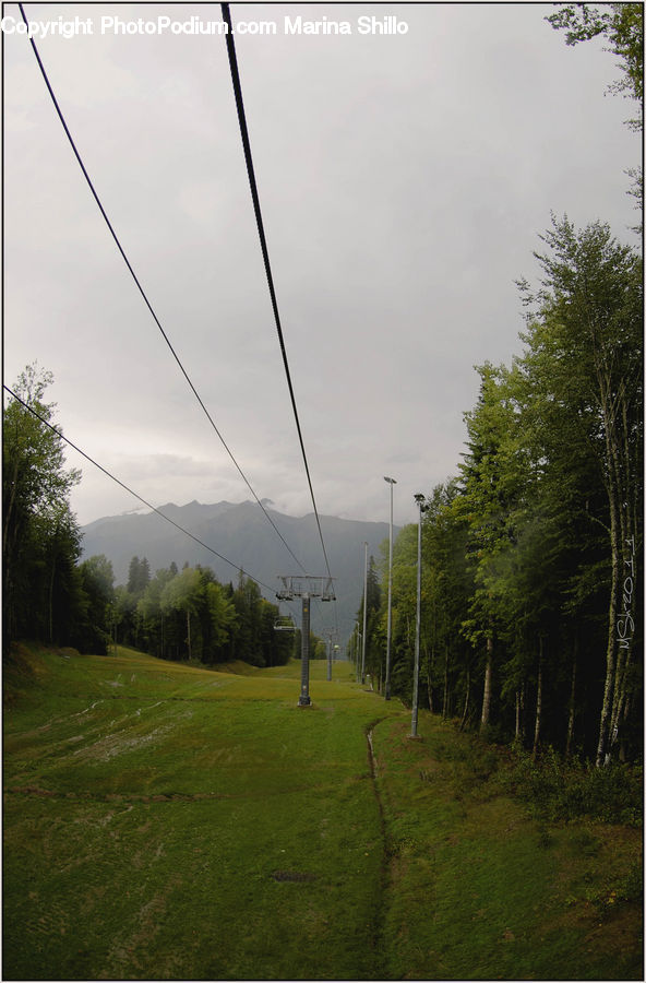 Cable, Electric Transmission Tower, Power Lines, Dirt Road, Gravel, Road, Conifer