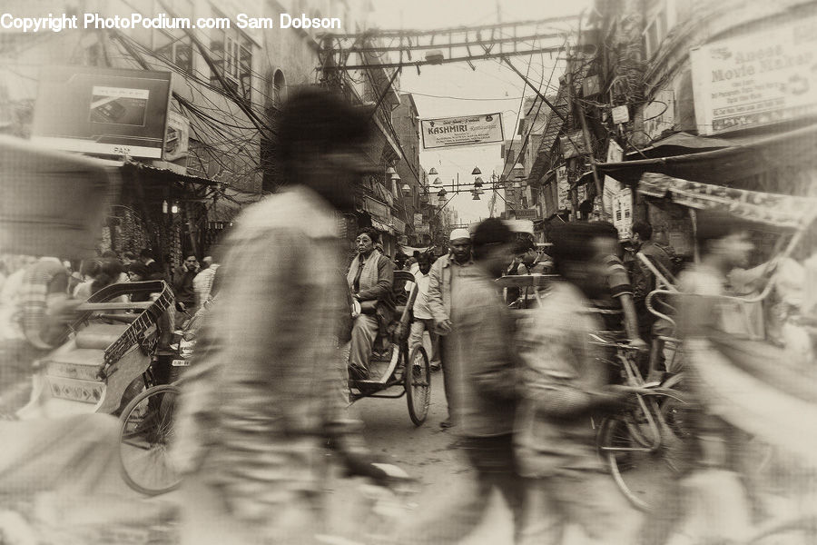 People, Person, Human, Motor, Motorcycle, Vehicle, Plant