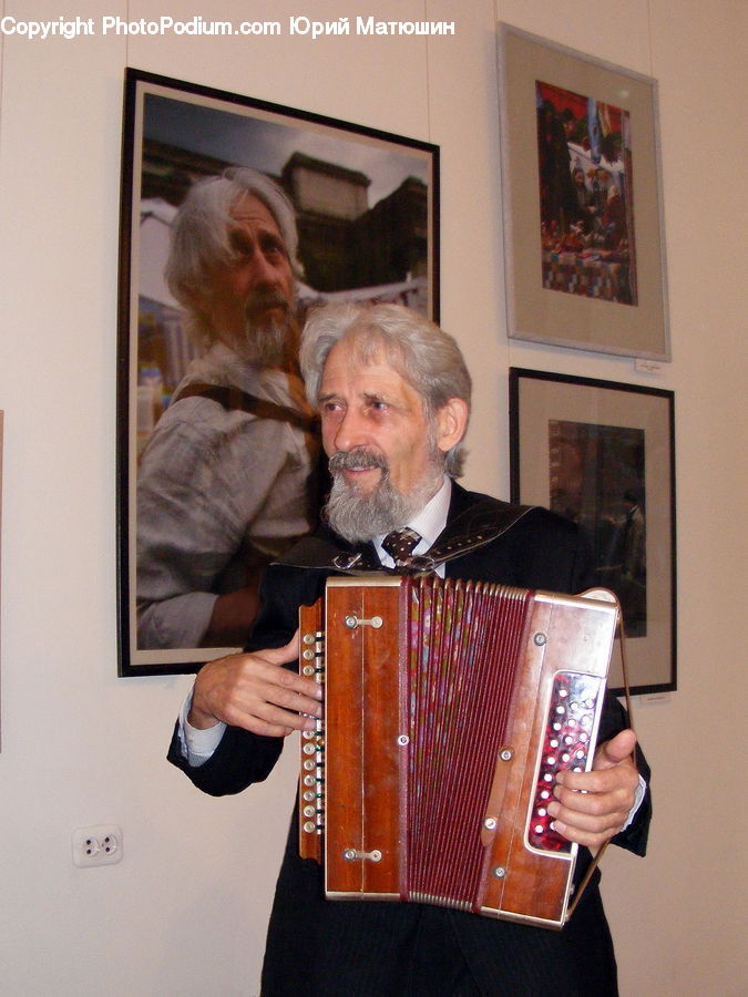 Accordion, Musical Instrument, People, Person, Human, Electronics, Monitor
