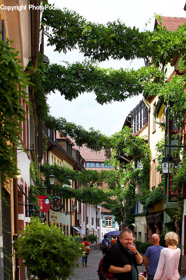 People, Person, Human, Back, Plant, Potted Plant, Building