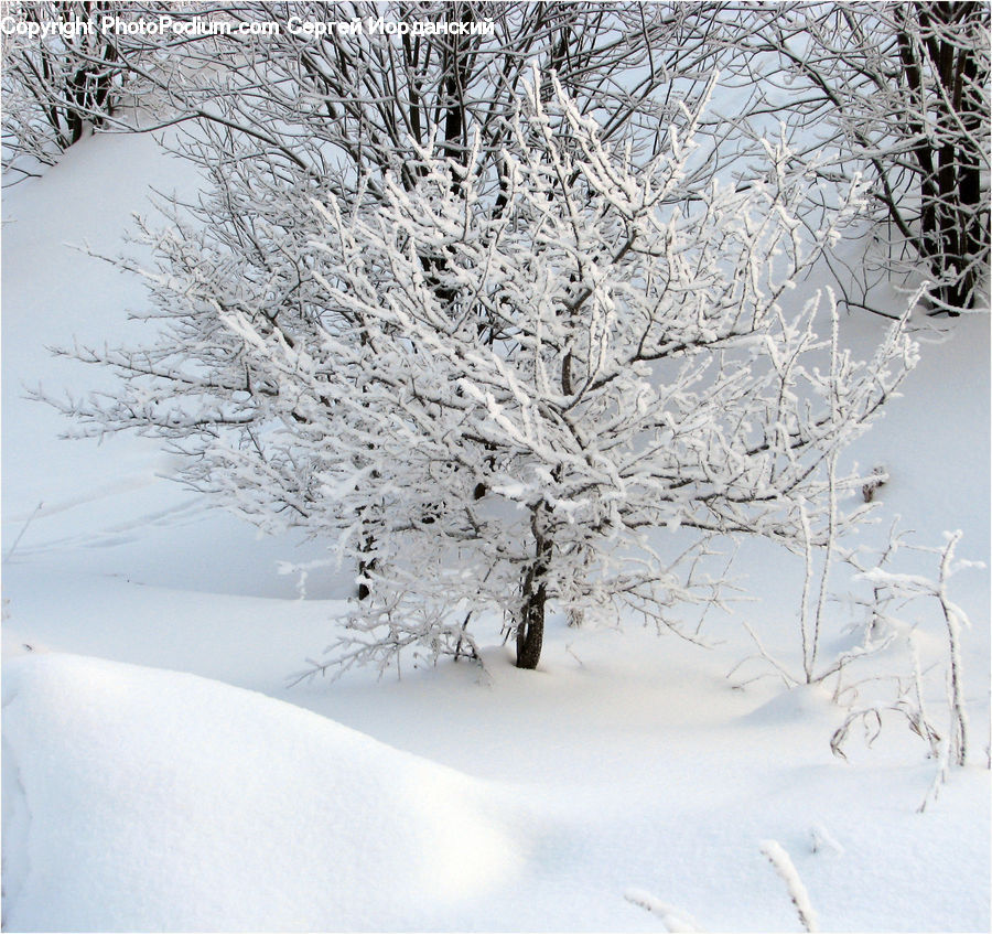 Blizzard, Outdoors, Snow, Weather, Winter, Landscape, Nature