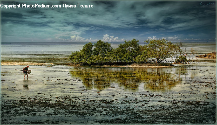 Flood, Beach, Coast, Outdoors, Sea, Water, Dirt Road