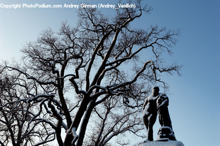 People, Person, Human, Art, Sculpture, Statue, Plant