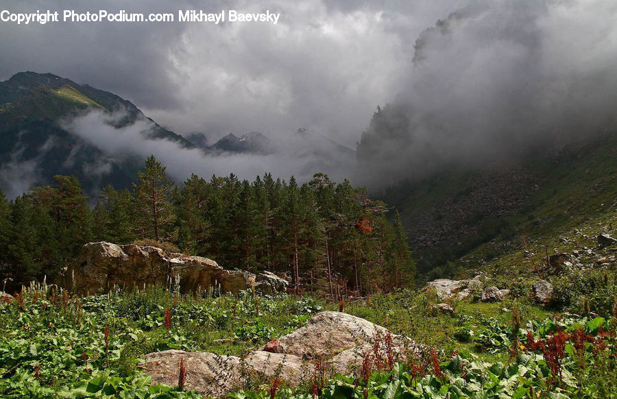 Alps, Crest, Mountain, Peak, Building, Hut, Shelter