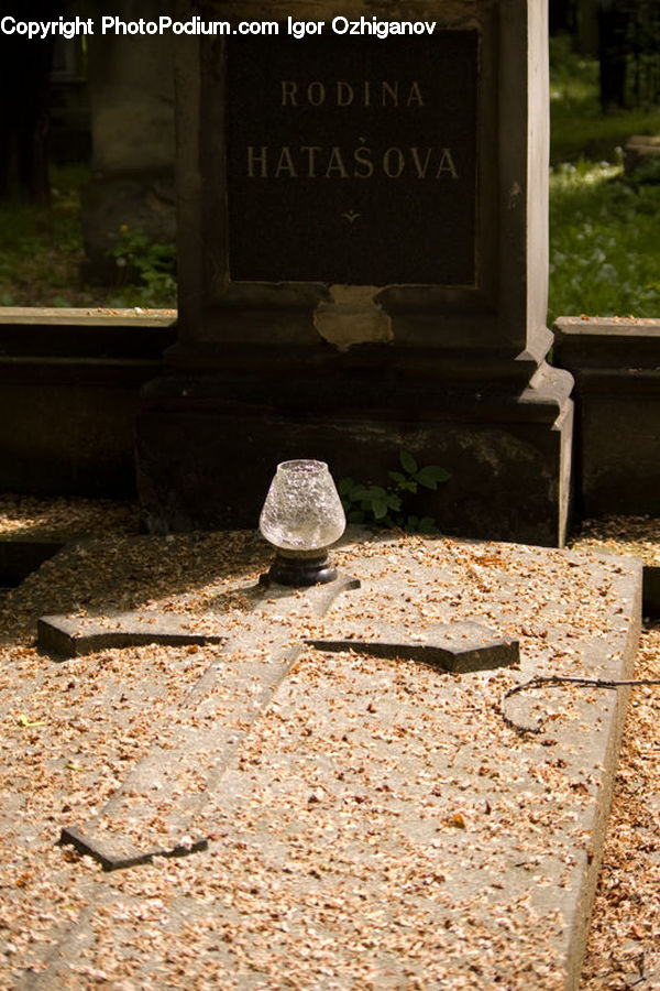 Plant, Potted Plant, Flagstone, Bench, Tomb, Tombstone, Rock