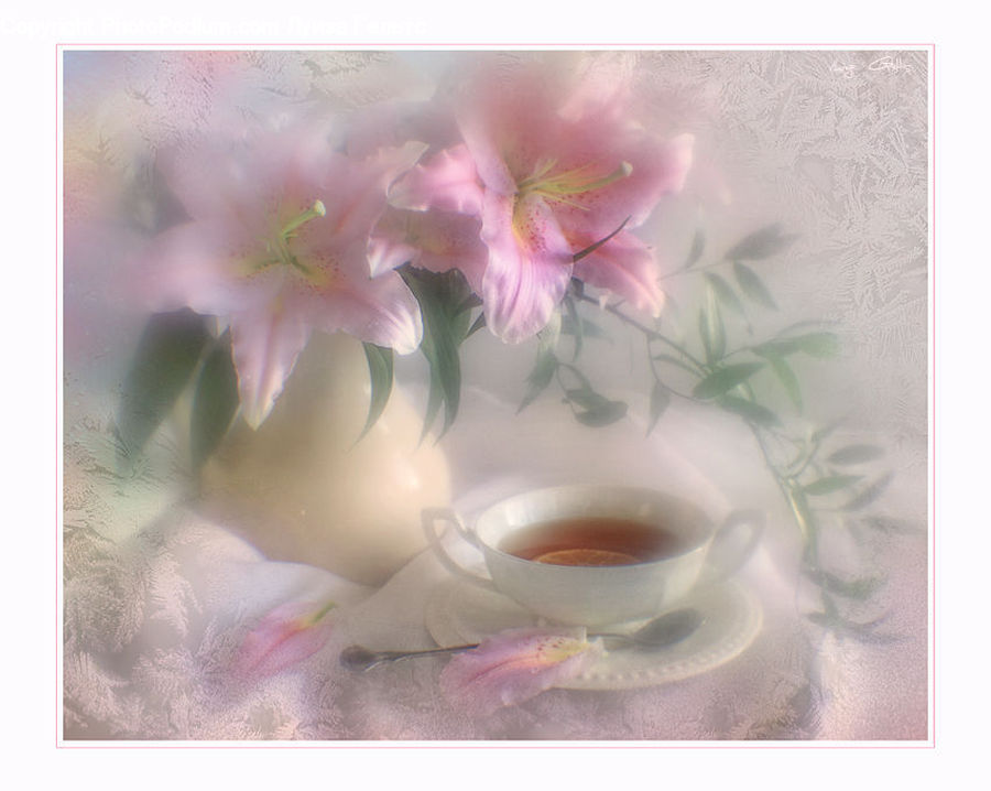 Flora, Flower, Gladiolus, Plant, Lily, Blossom, Lilac